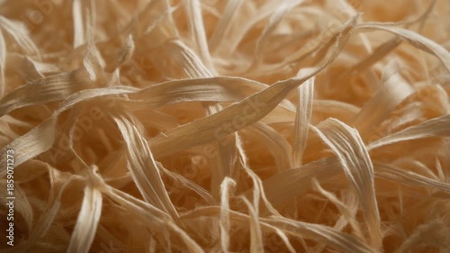 Close-up of dry beige straw or hay.