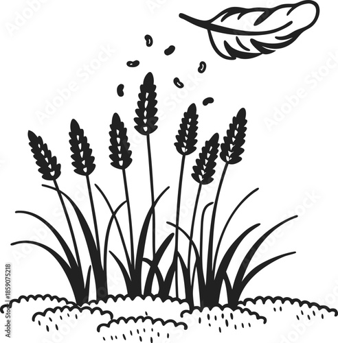 wheat stalks growing in soil with flying feather and scattered grains, agricultural natural illustration