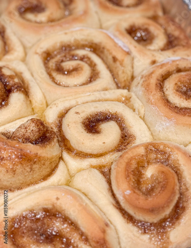 Dozen Fresh Baked Cinnamon Rolls Fresh Out of the Oven