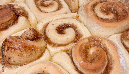 Dozen Fresh Baked Cinnamon Rolls Fresh Out of the Oven