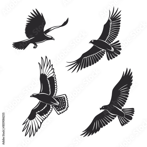 Flying Bird Silhouette Icon Set – Birds in Motion Vector Icons