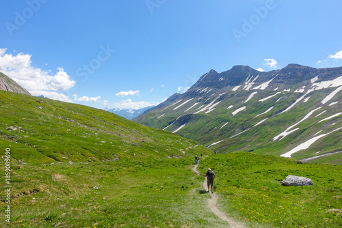 Wallpaper Mural hiking in the mountains on the Tour du Mont Blanc in the Italian Alps  Torontodigital.ca