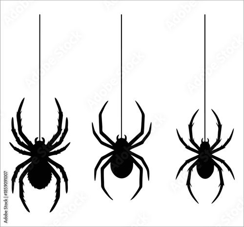 vector, spider, silhouette, hanging, halloween, spooky, creepy, horror, insect, arachnid, black, isolated, silk, web, thread, set, collection, animal, nature, crawly, scary, decoration, element, graph
