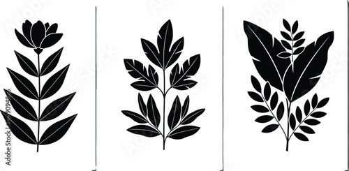 Botanical silhouette vector of decorative plants and leaves in panels for nature, design, floral art, and organic illustration use