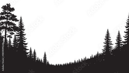 Silhouette of a dense pine forest against a clear sky
