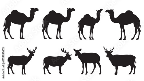 Silhouettes of Camels and Deer Set for Wildlife and Nature Illustration