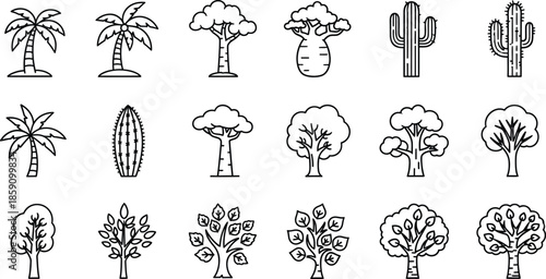 Assorted tropical plants and cacti line art illustration on transparent background silhouette