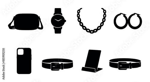 Fashion accessories collection: bag, watch, jewelry, belt, phone case