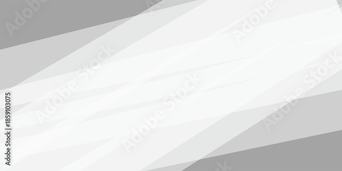 Gray color and white color and black color background abstract art vector