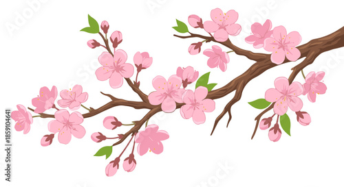 Vibrant pink blossoms adorning a graceful branch, an exquisite botanical illustration capturing the essence of spring's delicate beauty and renewal