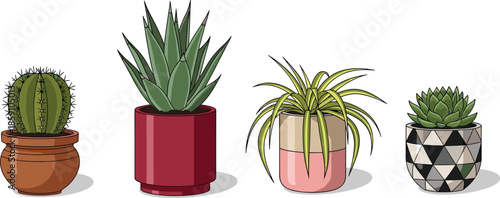 Cactus and succulent plants in decorative pots, indoor plants, home decor, plant collection, vector illustrations, nature design