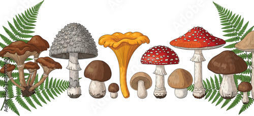 Forest mushrooms with ferns vector collection, wild fungi and botanical leaves illustration for nature and organic food design
