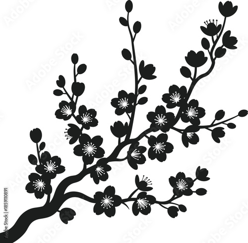 Black silhouette of cherry blossom branches with open flowers and buds on a white background tree