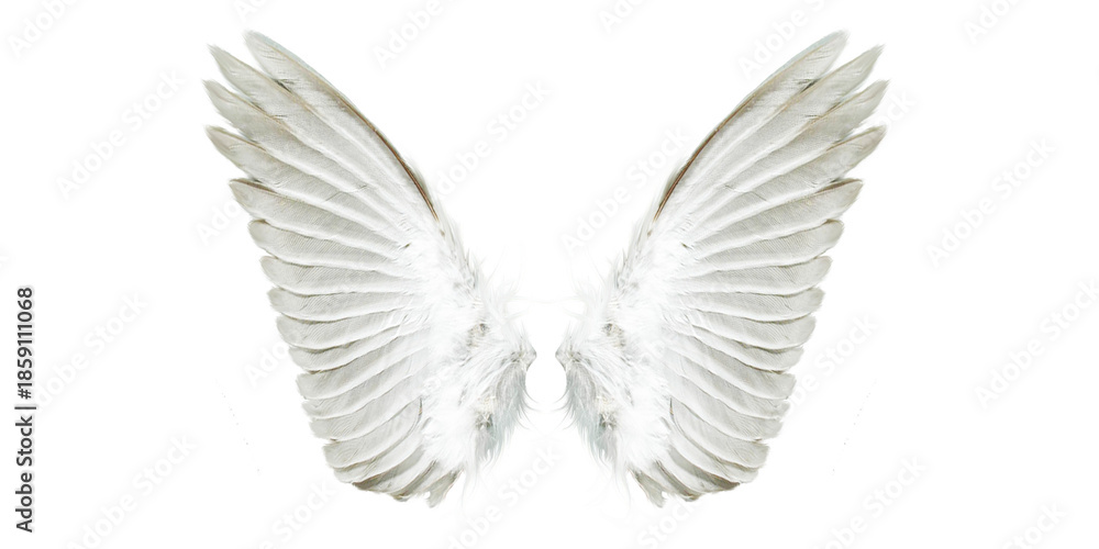 Obraz premium White angel wings png clipart, symmetrical feathered wing set isolated on transparent background, ethereal celestial costume accessory graphic for fantasy art, photo editing and design