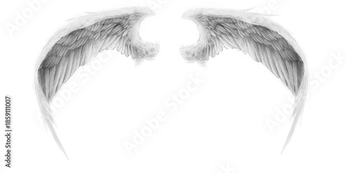 Foto Sketch angel wings png illustration, delicate pencil style feathered pair arched