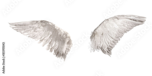 Foto Vintage angel wings png graphic, slightly tattered white feathered pair isolated