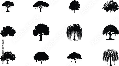 A comprehensive collection of black ink splashes and vector silhouettes featuring nature elements like pine, oak, and birch trees with various leaf and branch patterns for botanical design