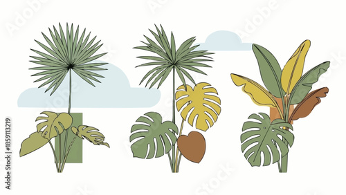 Collection of tropical plants in a minimalist style.