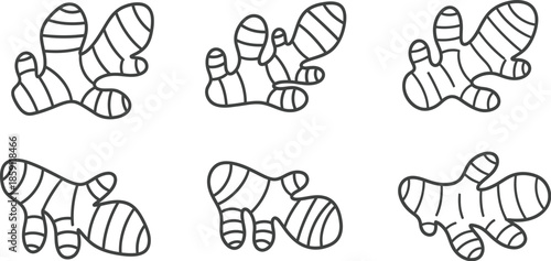 Hand drawn ginger root illustrations decorative element for design on transparent background silhouette