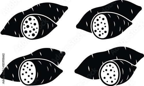 Four taro root illustrations with cutaway details on transparent background silhouette