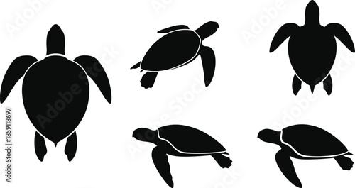 Black sea turtles in various poses on transparent background silhouette