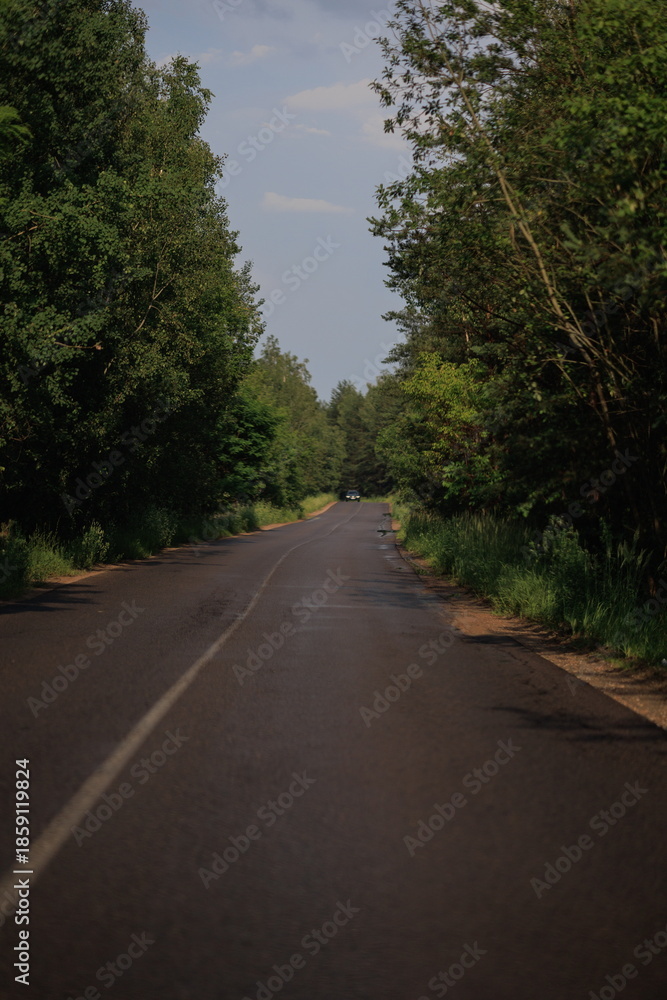 Obraz premium The effect of speed on the road and blurred. View of the road on a summer day.