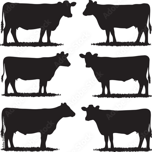 Set of six cow silhouettes isolated on transparent background