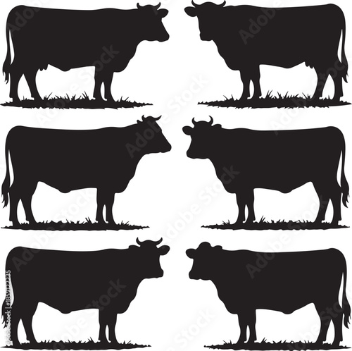 Six identical cow silhouettes in different poses isolated on transparent