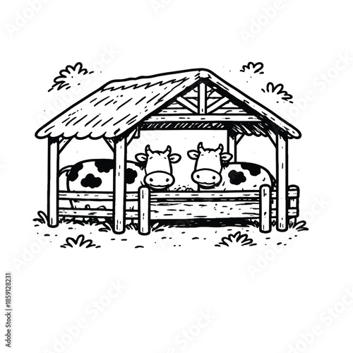 Two cows resting in rustic farm shelter drawing