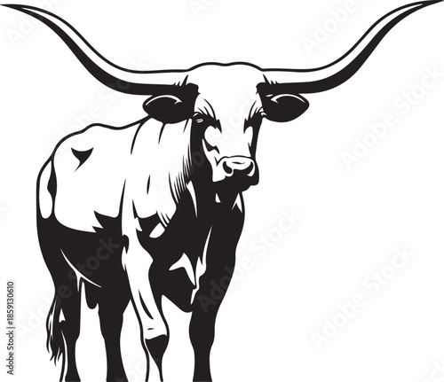 Black and white illustration of a longhorn bull