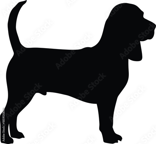 A distinctive black dog silhouette of a basset hound standing alertly on a clean white backdrop