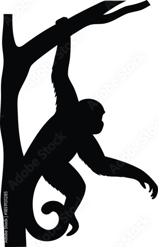 A furry monkey hangs effortlessly from a sturdy tree branch, demonstrating its arboreal life in the jungle