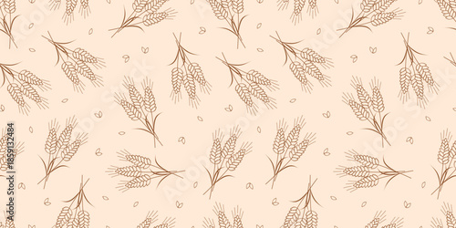 Vector seamless pattern with agricultural wheat and grain ears. Background bread or beer packaging, farming, organic food concepts.