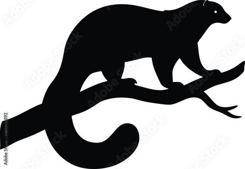 Agile weasel like mammal silhouette balancing gracefully on a curving tree branch