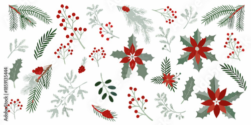 Festive winter botanical collection with red berries holly and poinsettia flowers