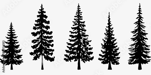 A simple silhouette illustration of a row of coniferous evergreen trees