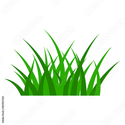 Green grass tuft illustration