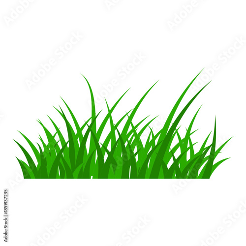 Vibrant green grass tuft isolated