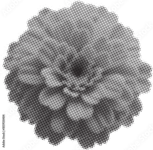 Abstract black and white dot pattern forming a star-like shape with a Halftone dot pattern