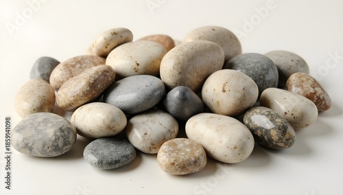 fresh mushrooms on a stone