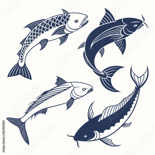 Three different fish illustrations