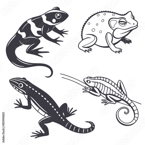 Collection of amphibian illustrations