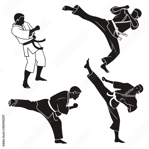 Photos Karate silhouettes