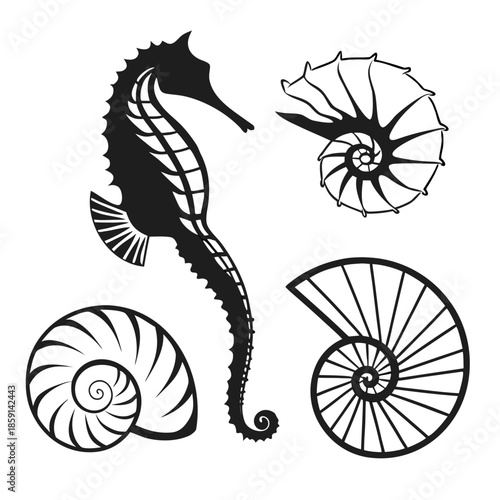 Marine life silhouettes