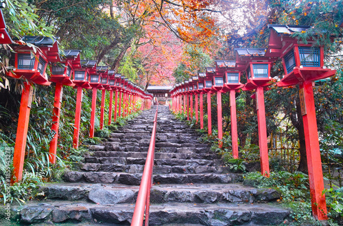 京都市左京区、秋の紅葉シーズンの貴船神社、雨に濡れた参道

