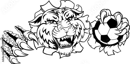 A tiger soccer football ball animal sports team mascot
