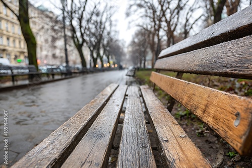 Wet wooden park bench in a rainy city park