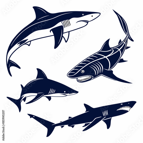 Four shark illustrations