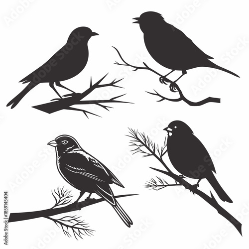 Silhouette of birds on branches