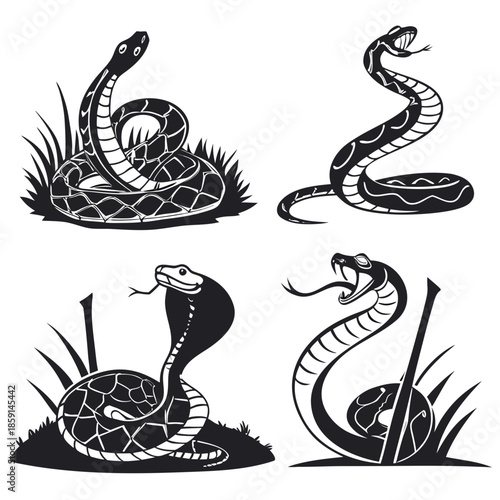 Snake illustrations